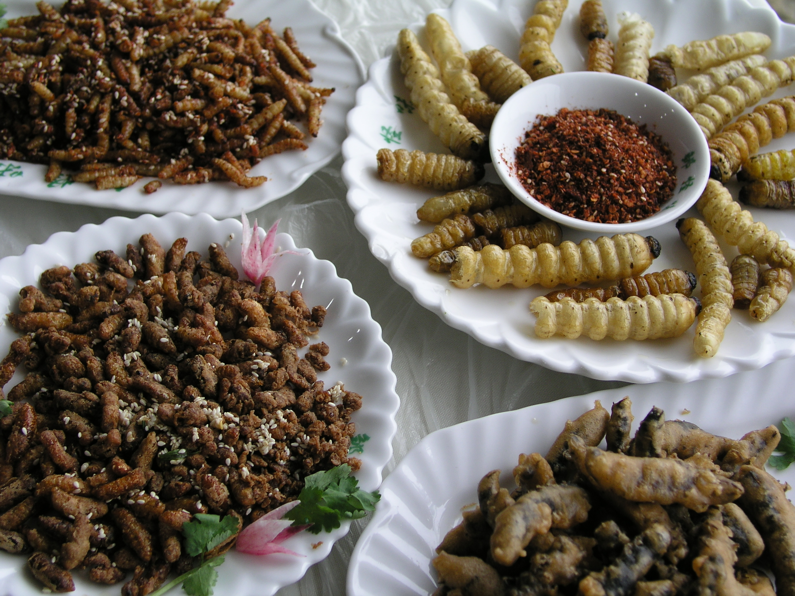 chinese people eating bugs